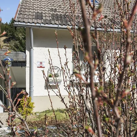 Kuckucksnest Todtnau-muggenbrunn Appartement Todtnau